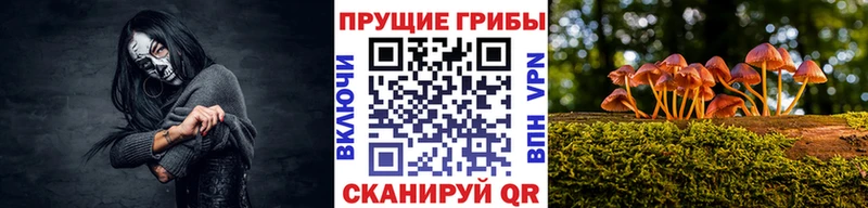 где продают наркотики  Красновишерск  Галлюциногенные грибы MAGIC MUSHROOMS 